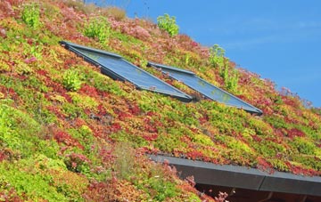 Cleasby living roof systems