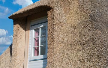 Cleasby thatch roof disadvantages