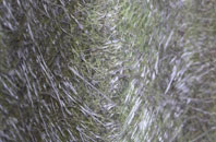 Cleasby fibreglass roof work